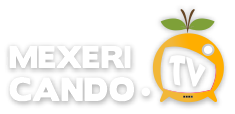 logo png 01